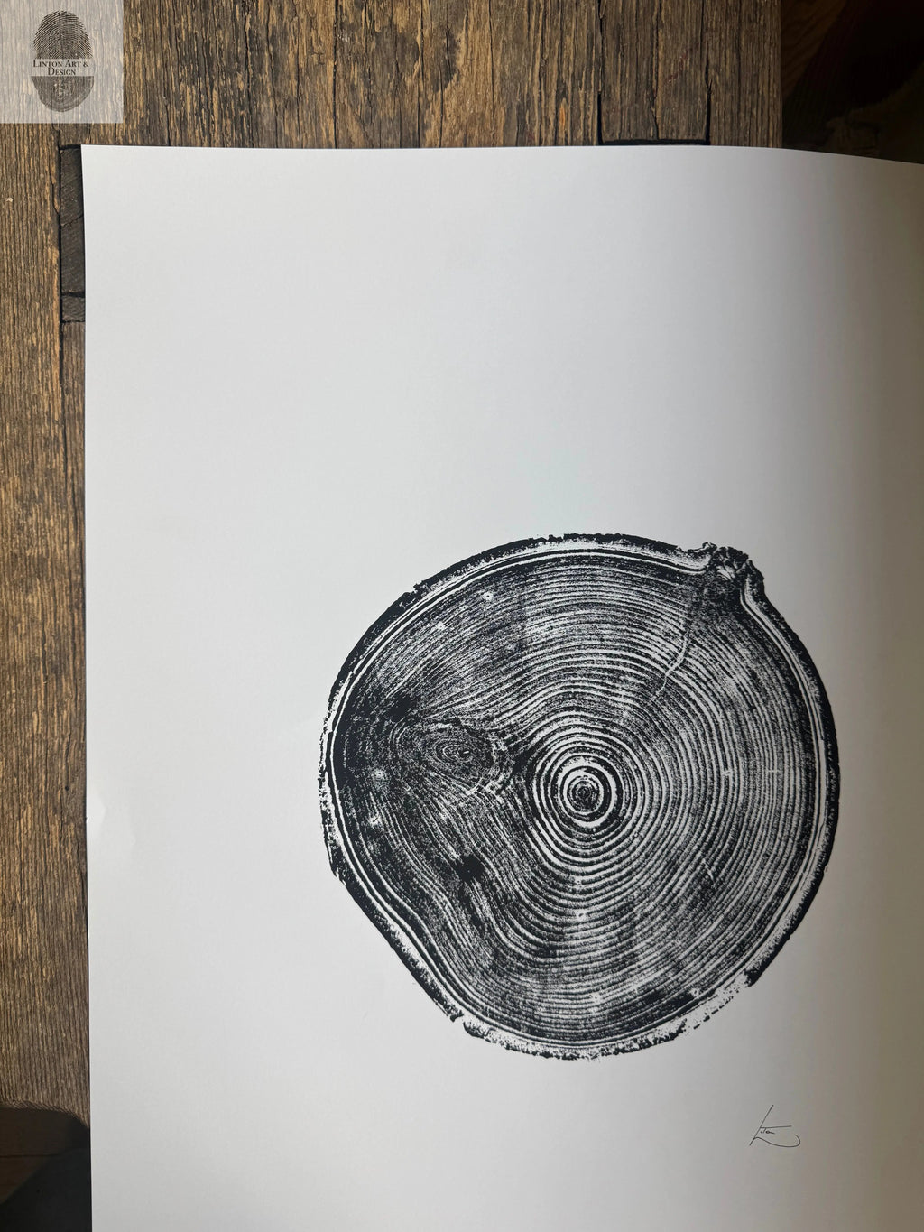 Aspen Tree Ring Print – Carson, New Mexico – 18x24 Original Signed Woodcut
