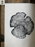 Cedar Tree Ring Print – Reno County, Kansas – 18x24 Original Signed Woodcut