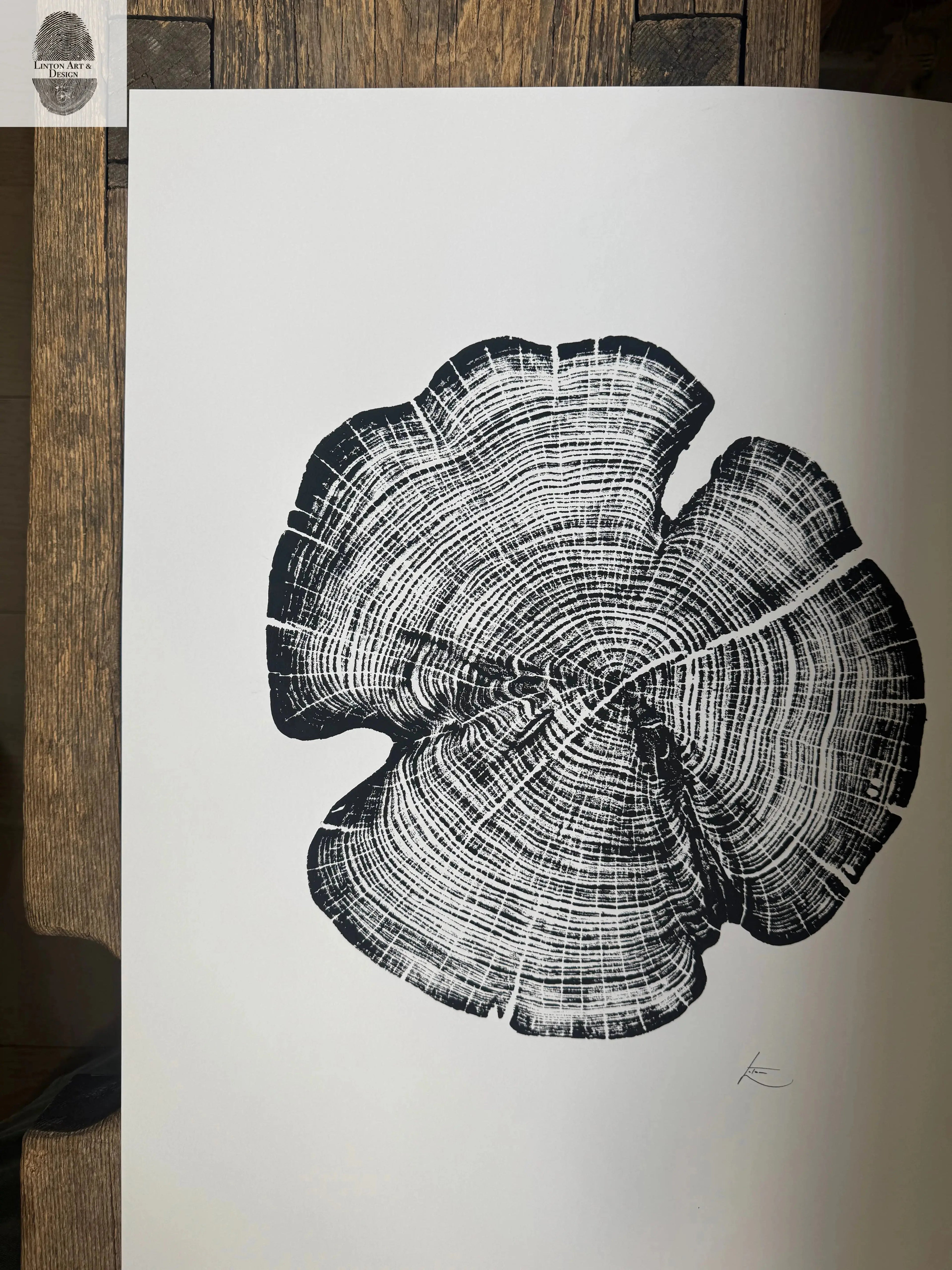 Cedar Tree Ring Print – Reno County, Kansas – 18x24 Original Signed Woodcut