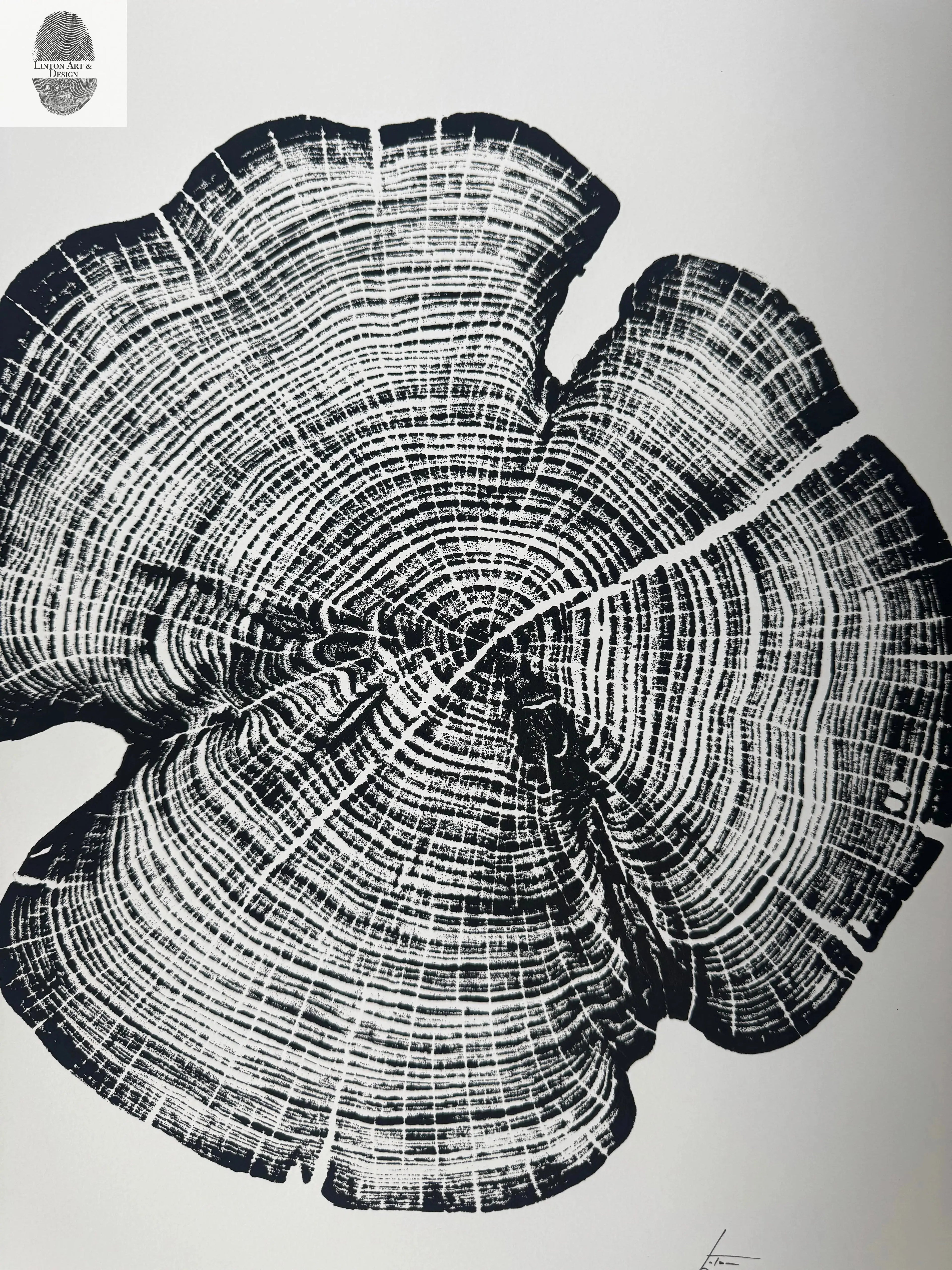 Cedar Tree Ring Print – Reno County, Kansas – 18x24 Original Signed Woodcut