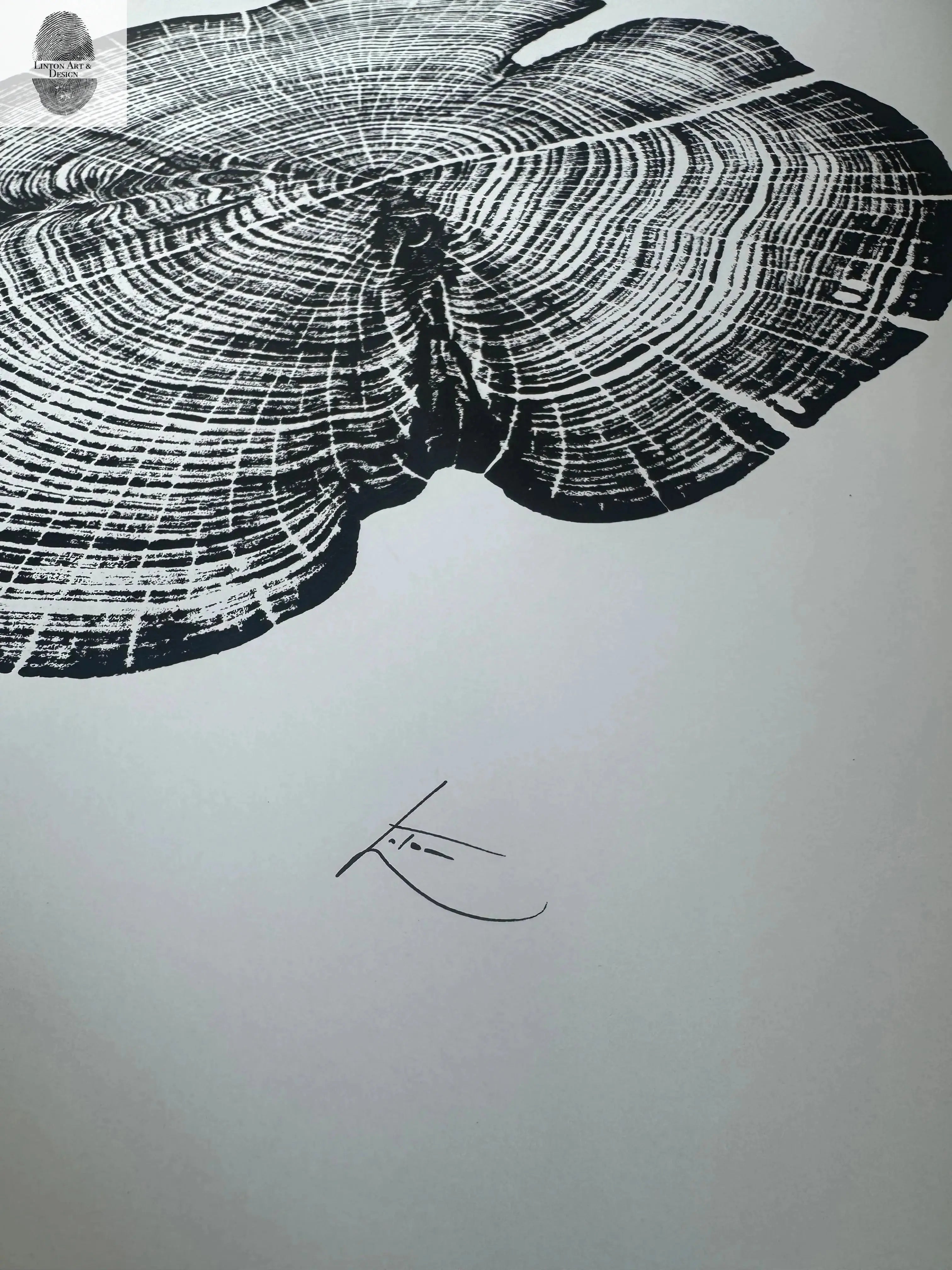 Cedar Tree Ring Print – Reno County, Kansas – 18x24 Original Signed Woodcut