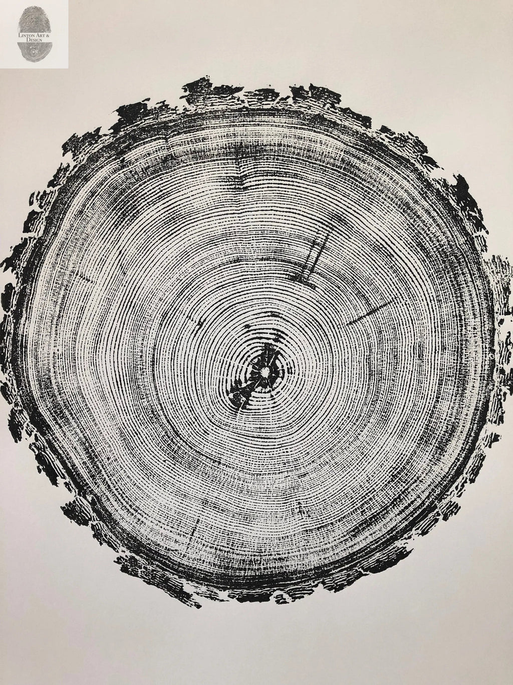 Denver Art, Rocky Mountains Tree Art, Pine Tree Art, Tree ring Print, Woodcut Print