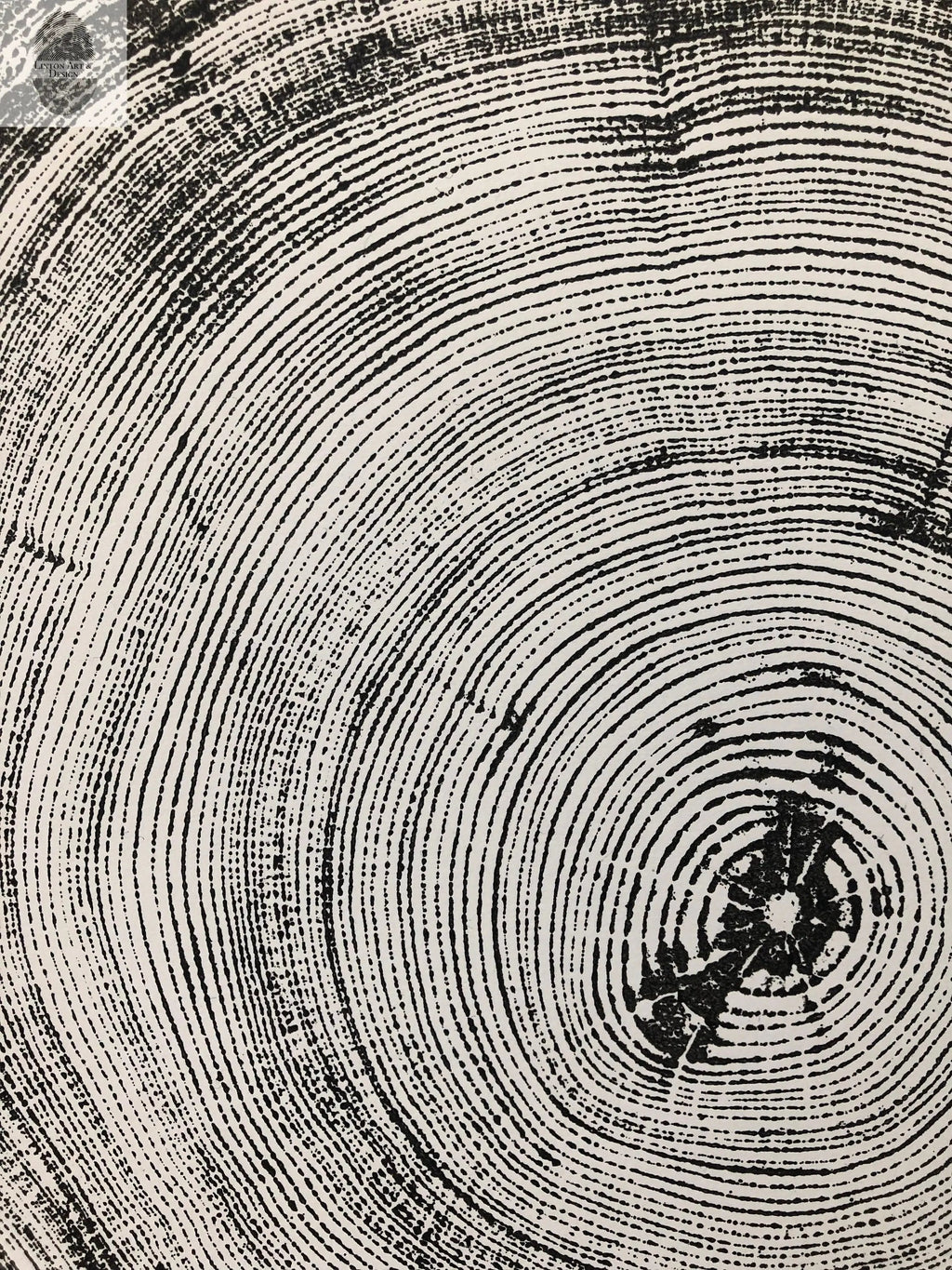 Denver Art, Rocky Mountains Tree Art, Pine Tree Art, Tree ring Print, Woodcut Print