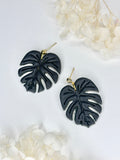 Black Monstera