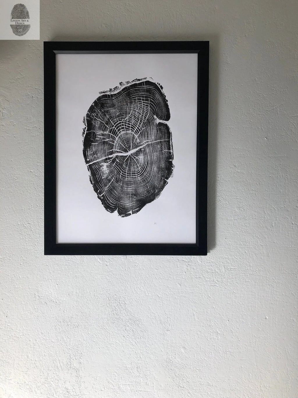 Nauvoo Illinois Osage Orange - 18x24 print