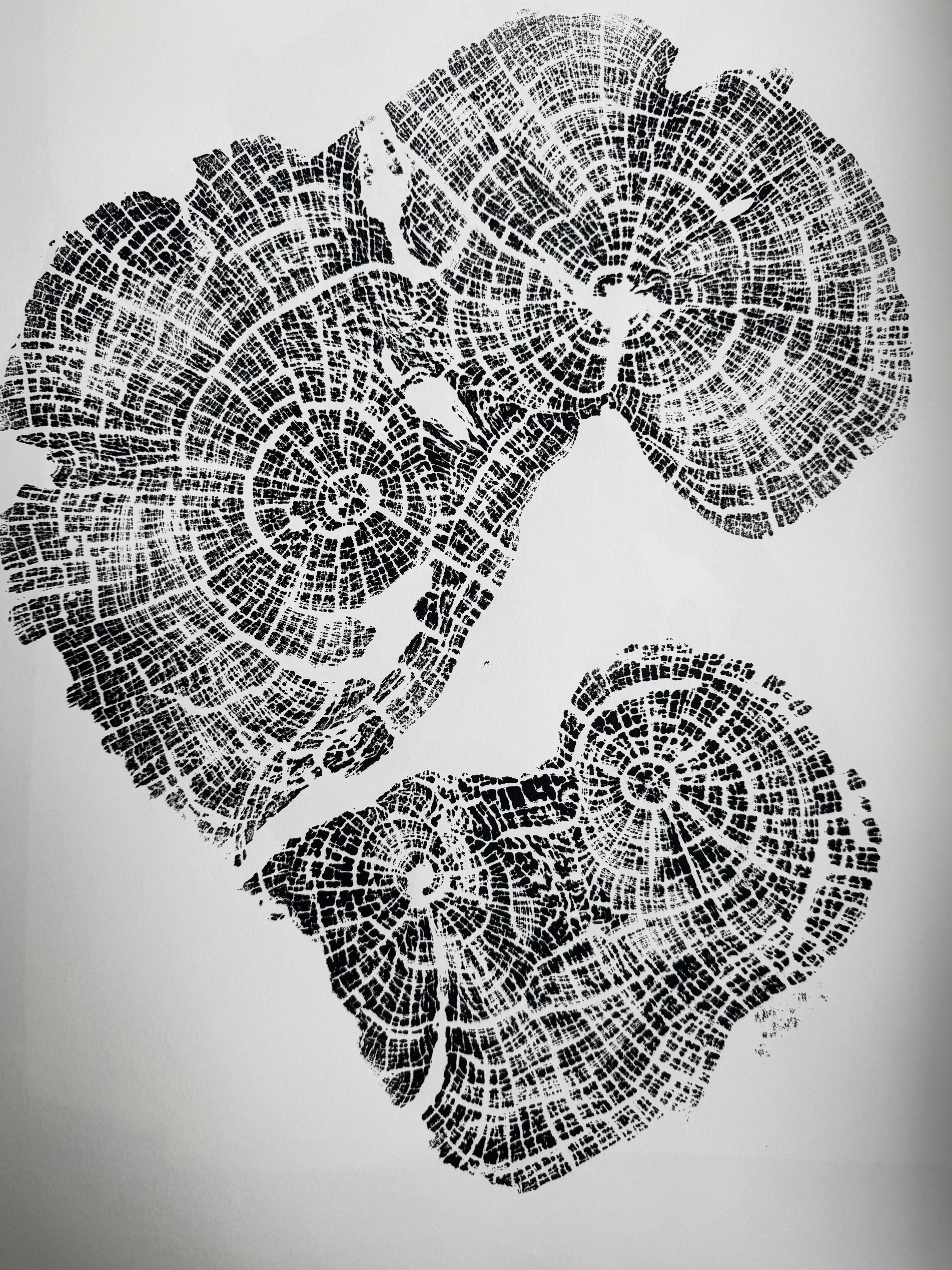 Old Growth Juniper Tree Ring Print – Boulder, Utah (Grand Staircase) – 24x36 Original Signed