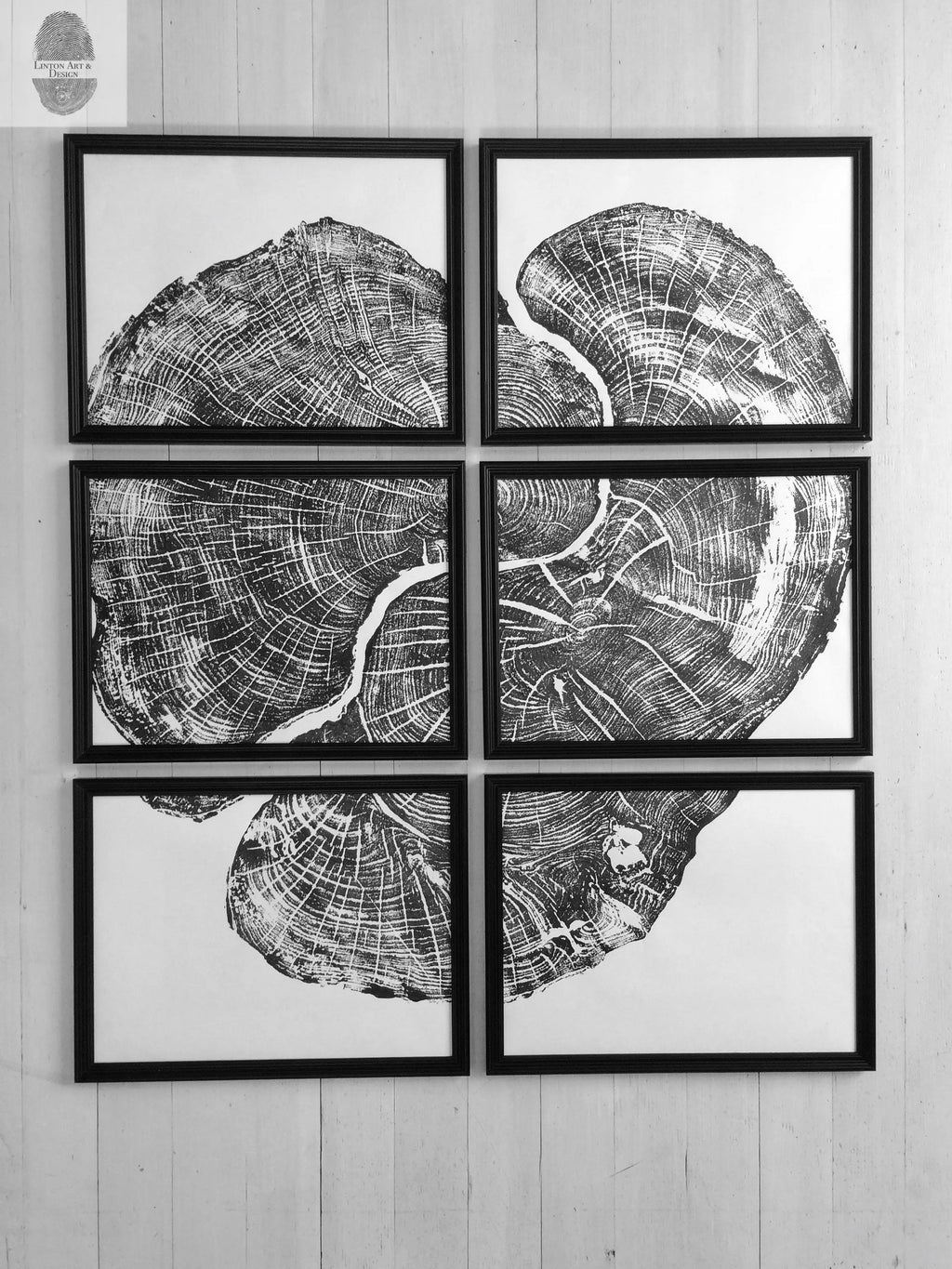Pennsylvania Sugar Maple Set of 6 - 12x16 each print