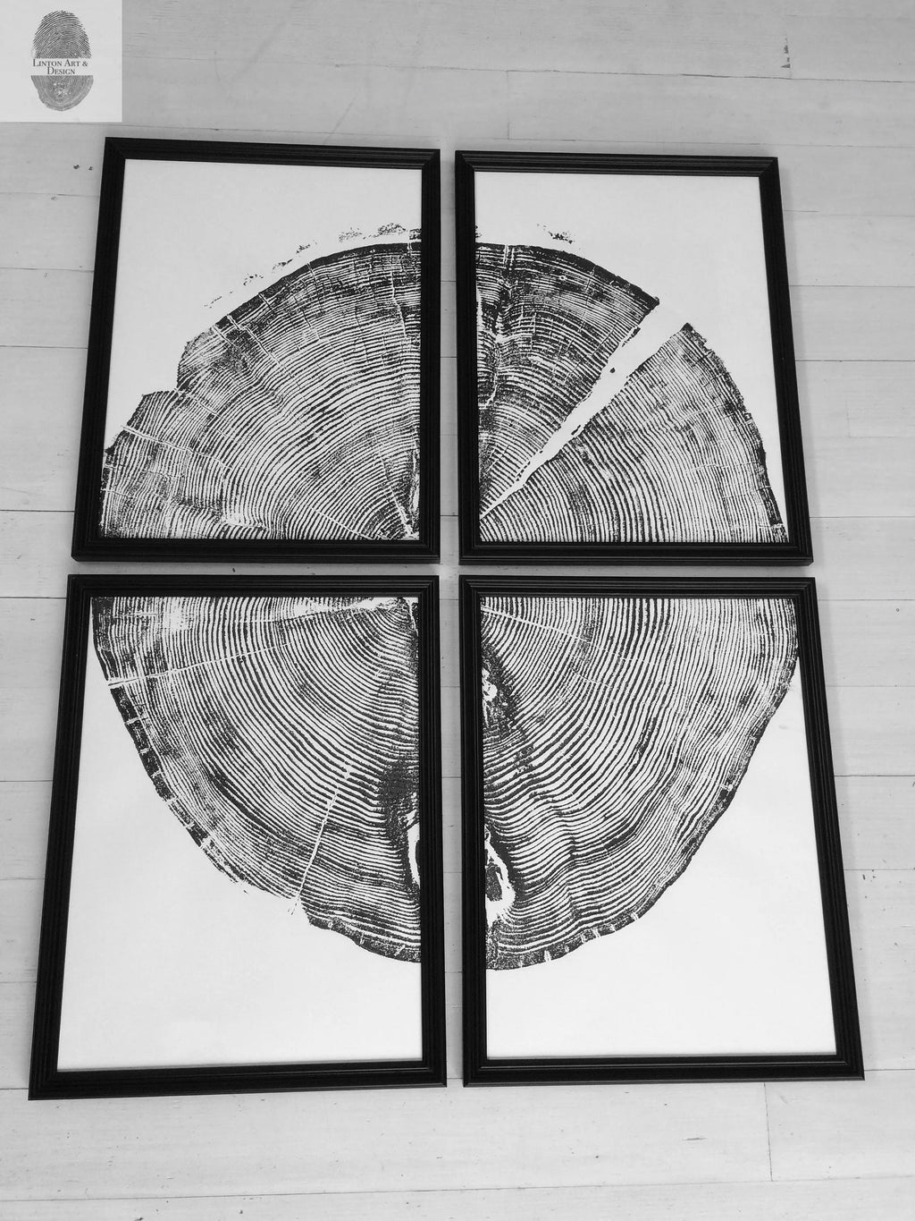 Sundance Canyon, Utah, White Pine Set of 4 - 12x16 each print