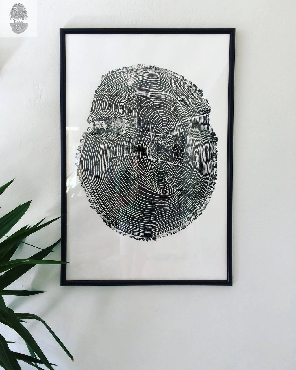 Tree Ring Triptych Wall Art • Set of 3 Panel Tree Stump Prints • Large Tree Ring Print Set • Nature-Inspired Wall Art
