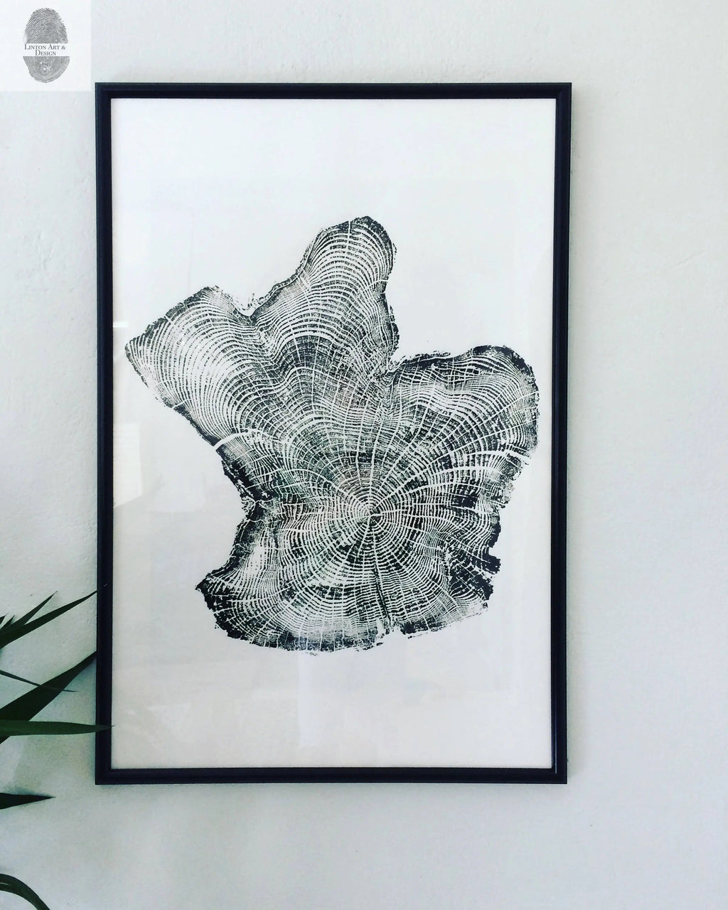 Tree Ring Triptych Wall Art • Set of 3 Panel Tree Stump Prints • Large Tree Ring Print Set • Nature-Inspired Wall Art