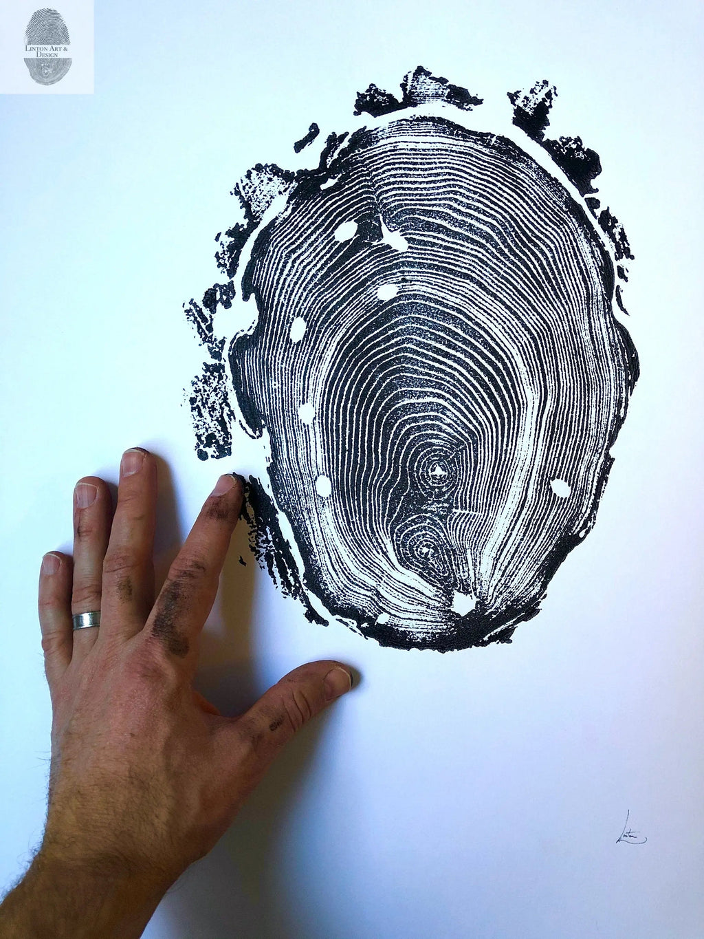 Walden Pond Print, Massachusetts Tree Ring Print - 18x24 print - Signed Original