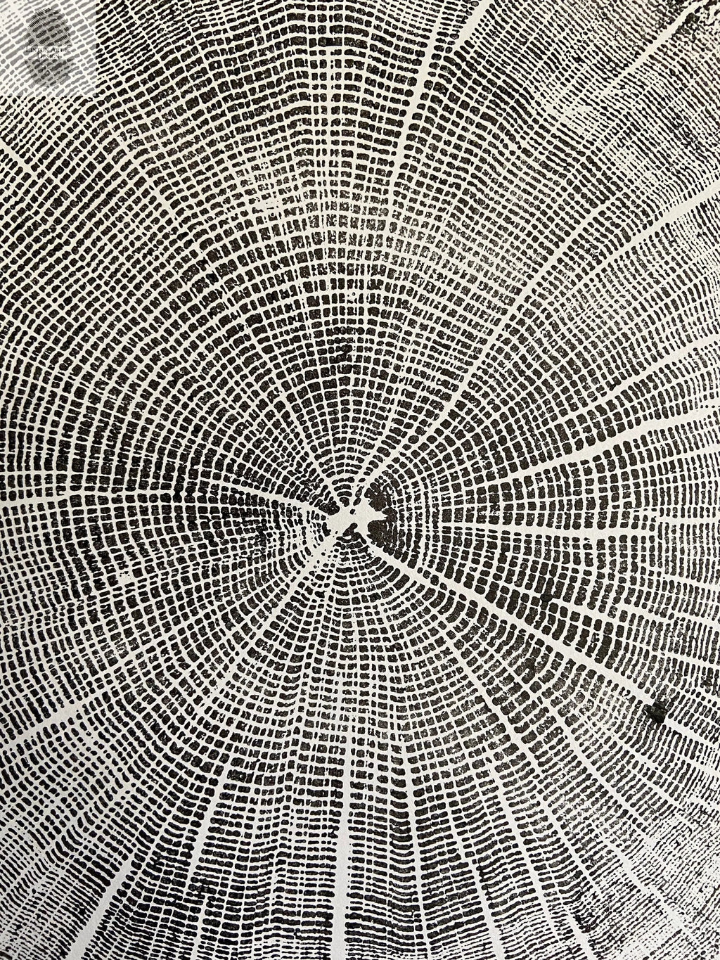 York, Maine Oak - 18x24 print