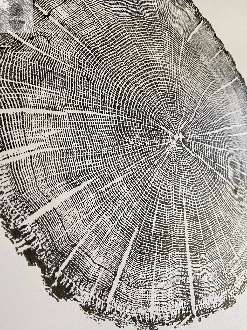 York, Maine Oak - 18x24 print
