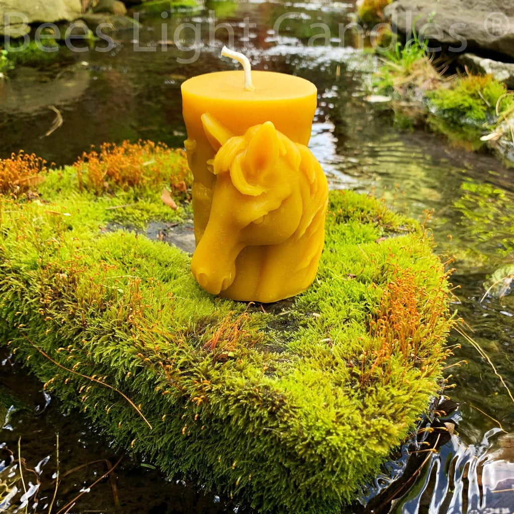 Animal Pillar Beeswax Candles