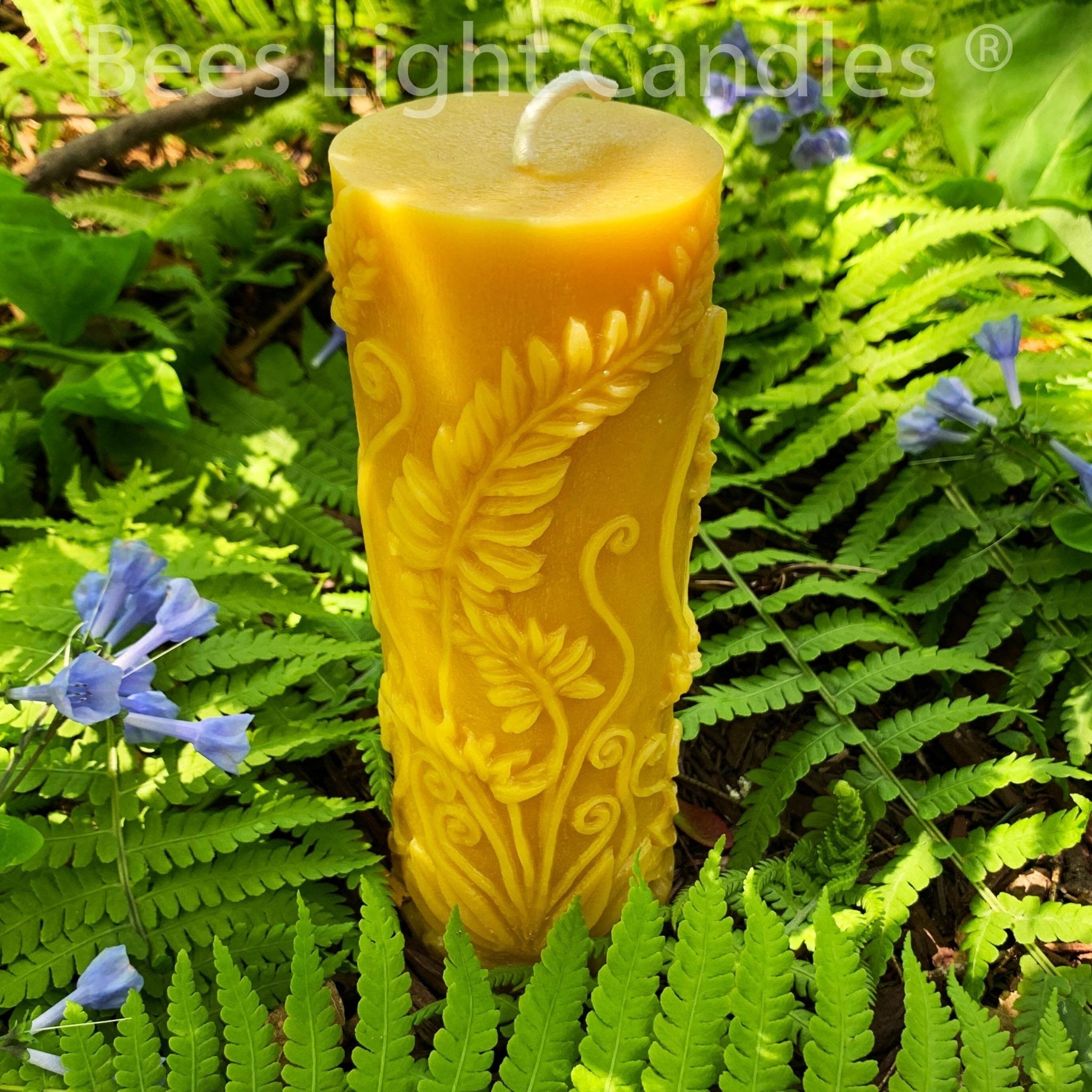 Fern Beeswax Candle Set Sphere & Pillar