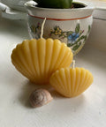 Clam Shell Beeswax Candle Set