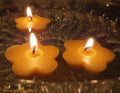Clover Floating Beeswax Candles