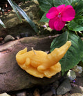 Crocodile Beeswax Candle
