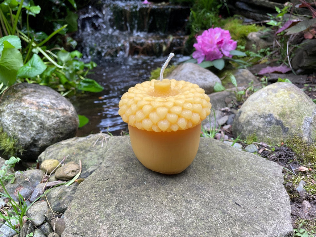Giant Acorn Beeswax Candle