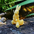 Hare Beeswax Candle