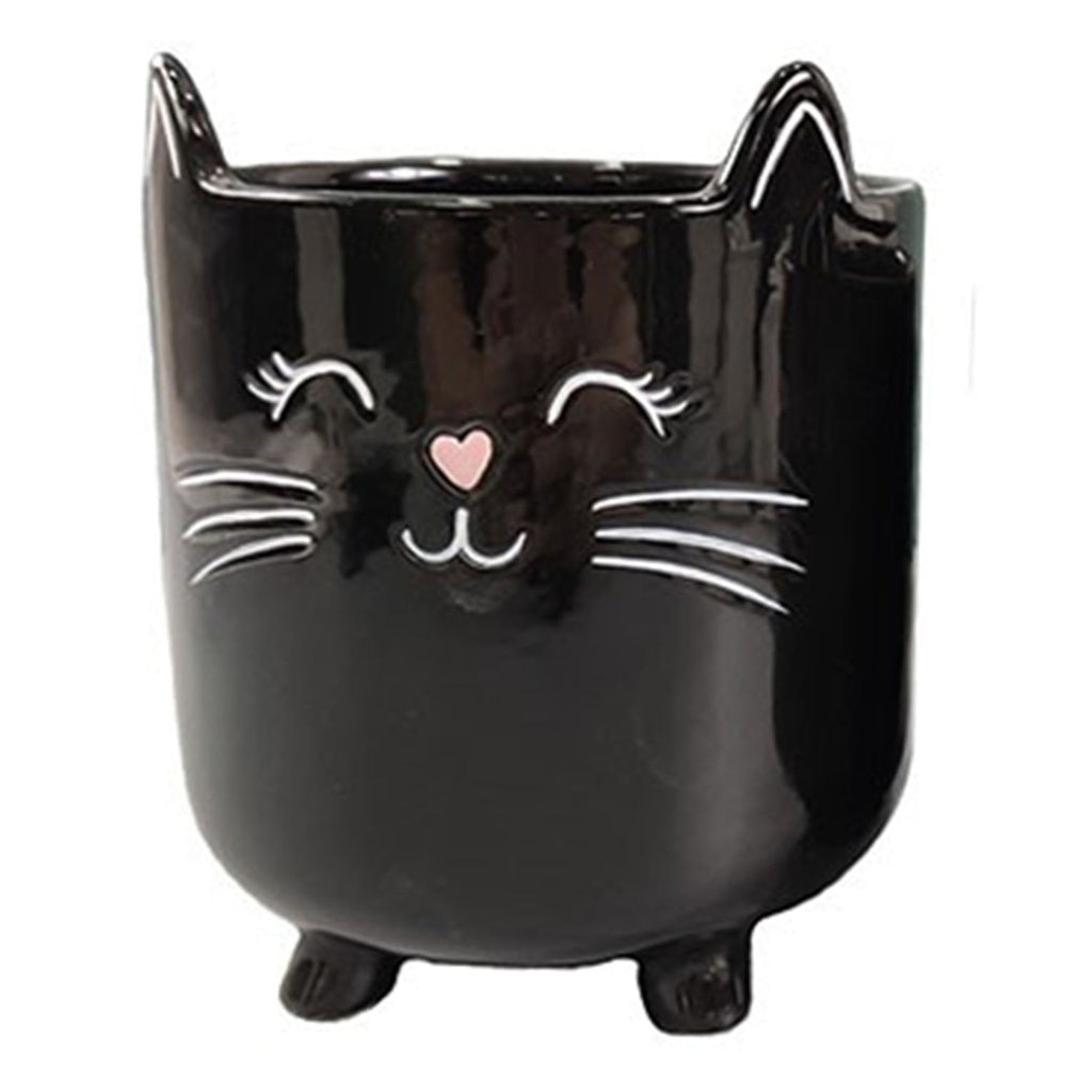 Black Cat Planter Pot With Ears & Whiskers for Succulents, Flowers, Herbs or Plants
