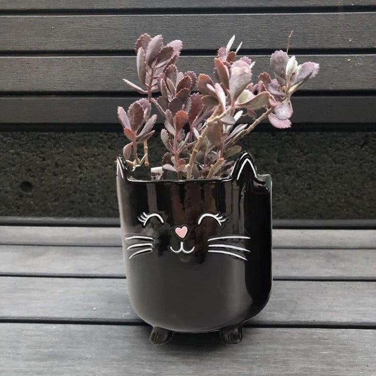 Black Cat Planter Pot With Ears & Whiskers for Succulents, Flowers, Herbs or Plants