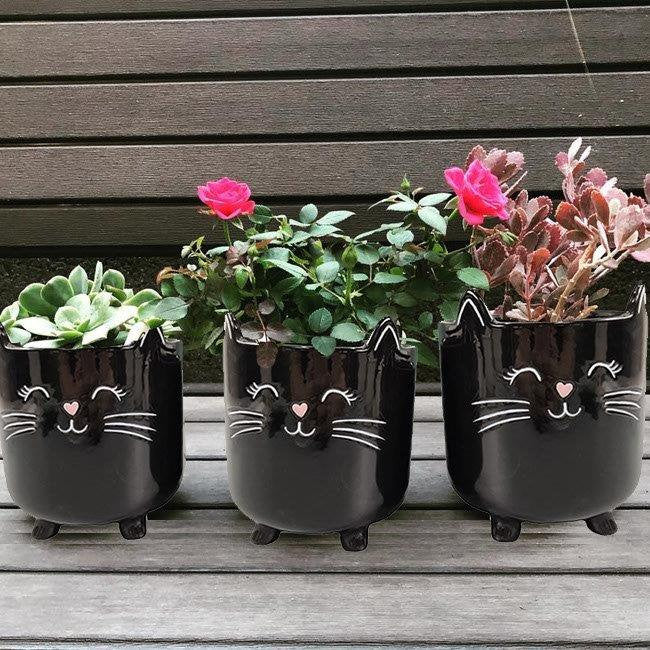 Black Cat Planter Pot With Ears & Whiskers for Succulents, Flowers, Herbs or Plants