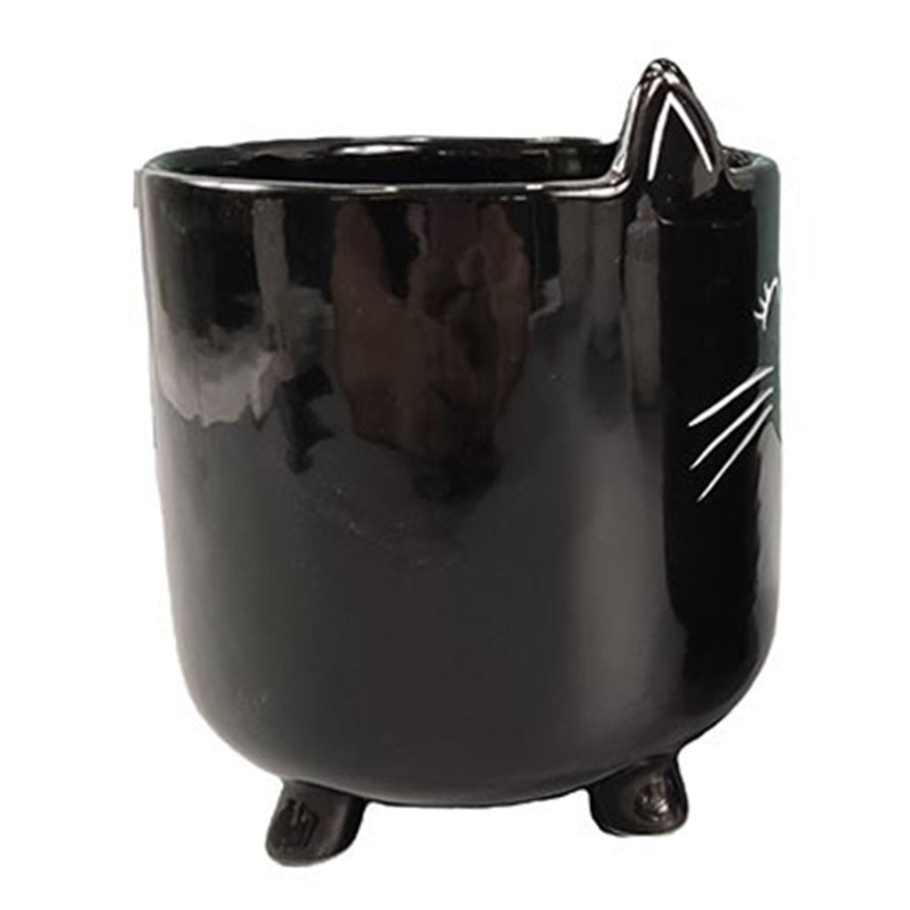 Black Cat Planter Pot With Ears & Whiskers for Succulents, Flowers, Herbs or Plants
