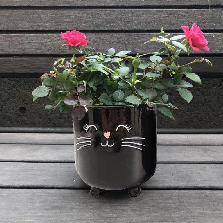 Black Cat Planter Pot With Ears & Whiskers for Succulents, Flowers, Herbs or Plants