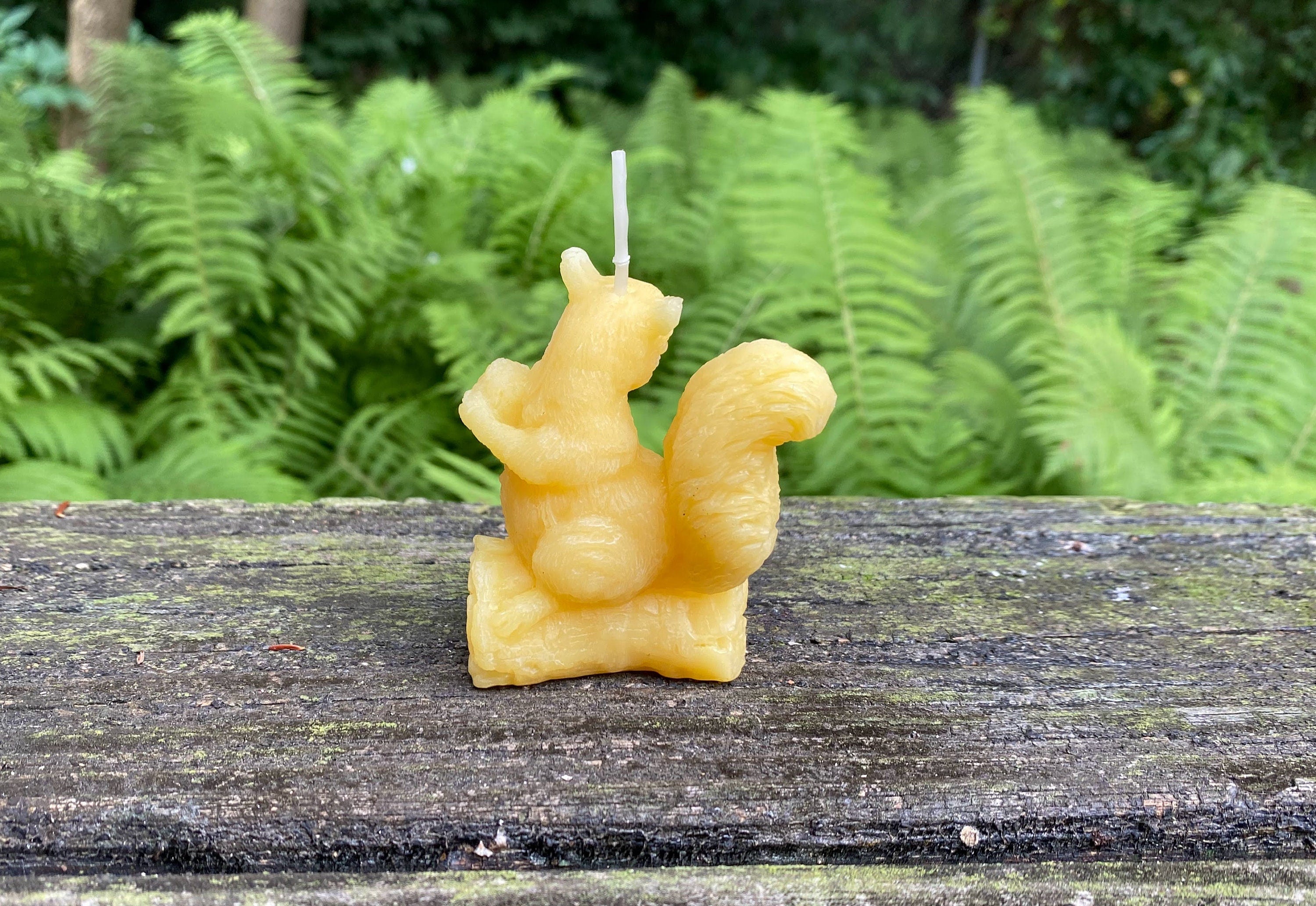 Squirrel Beeswax Candle