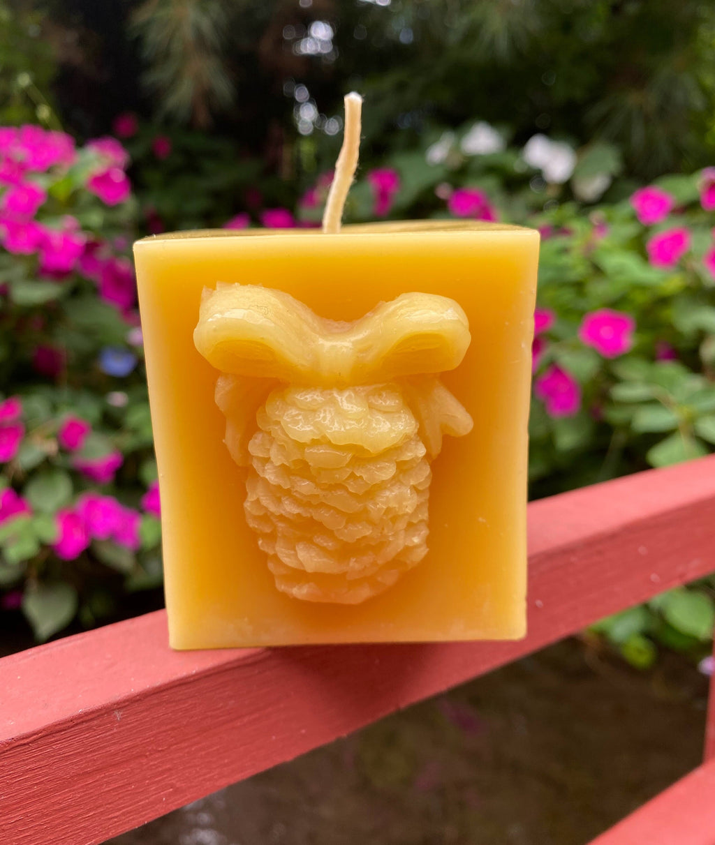 Pinecone Square Gift Beeswax Candle