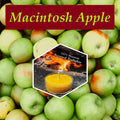 Macintosh Apple Scented Beeswax Tealight Candle