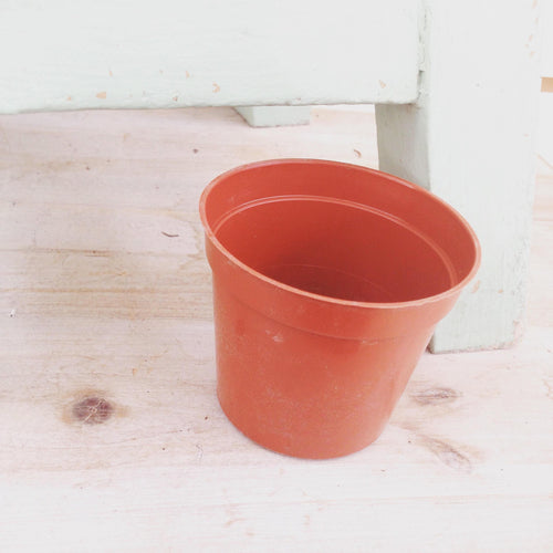 2" Growing Pot