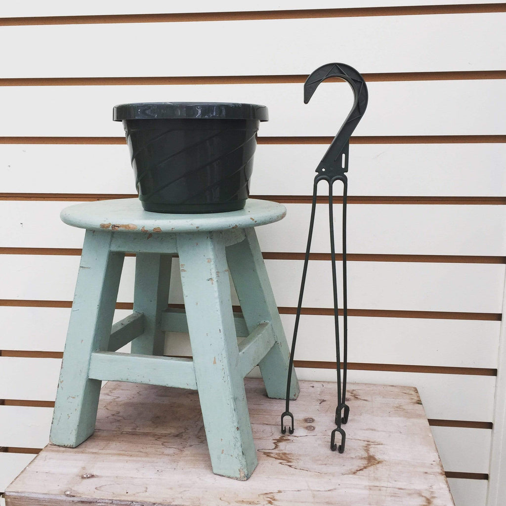 6" Growing Pot