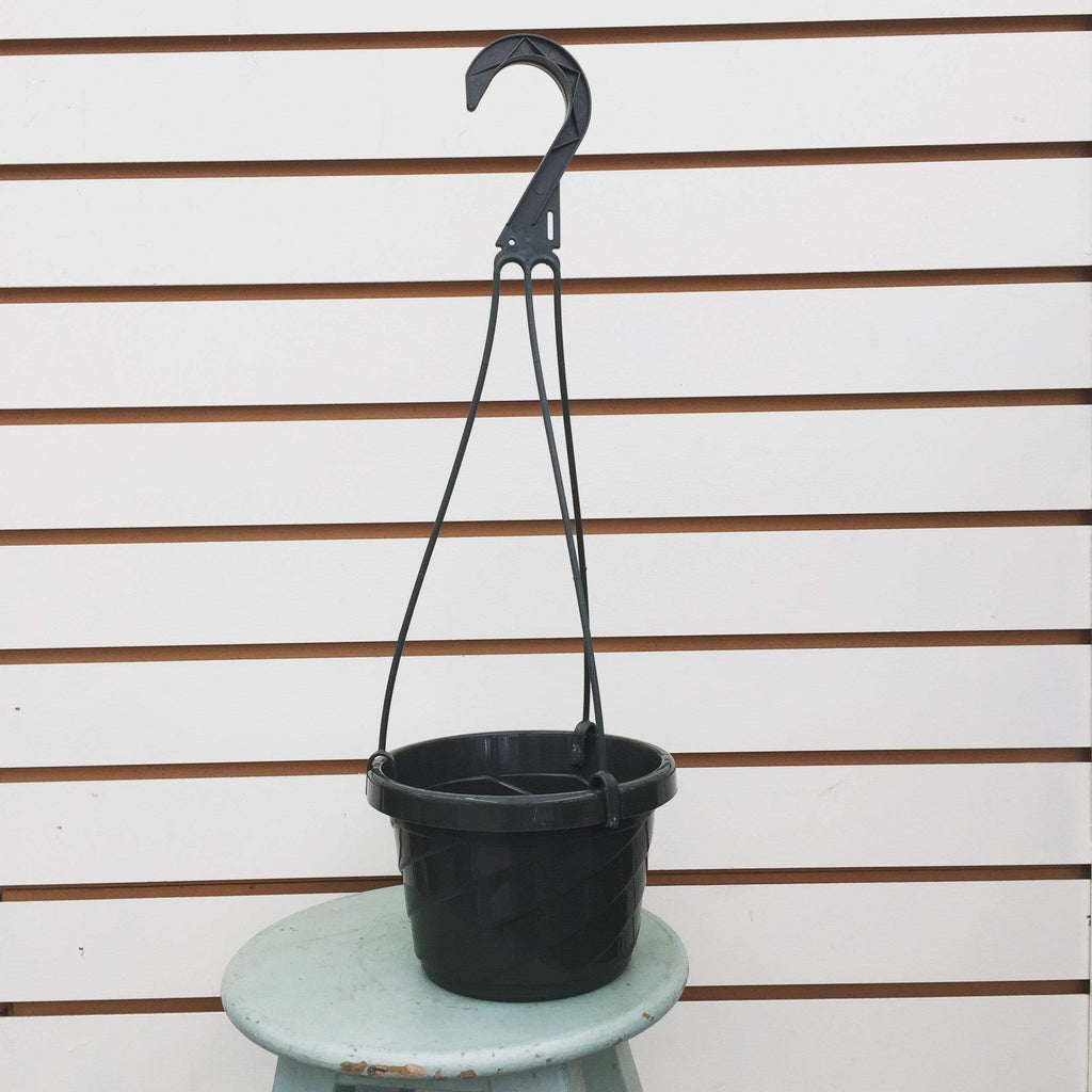 6" Growing Pot
